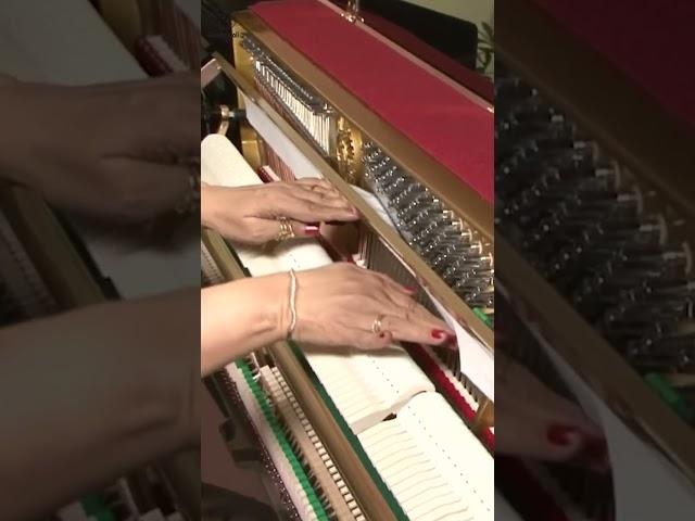 Piano | Parts Of Piano | Basic Of Piano | Learn To Play Piano With Sandhya | #shorts.