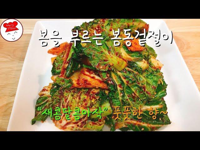 [써니's 알쓸요리 Seasoned cabbage salad with spicy sources]봄동겉절이만드는법/봄동무침요리만들기/봄동겉절이황금레시피