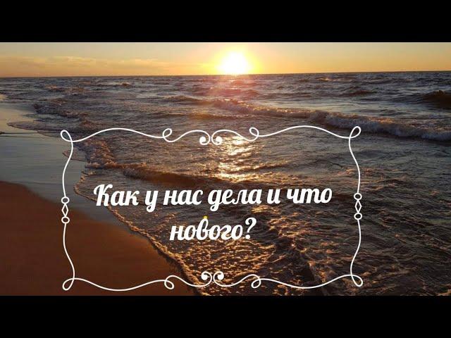 Наша жизнь в Польше. Чем мы занимаемся в Польше. Легализация в Польше. Жизнь в Польше. Варшава.