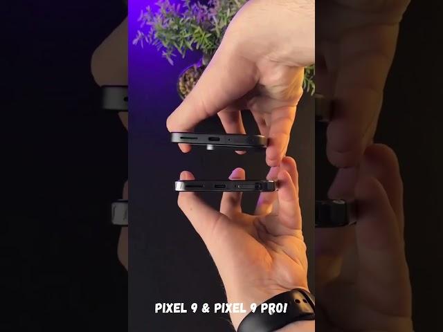 Pixel 9 & Pixel 9 Pro Hands-On! | Pixel 9 Pixel 9 Pro Unboxing