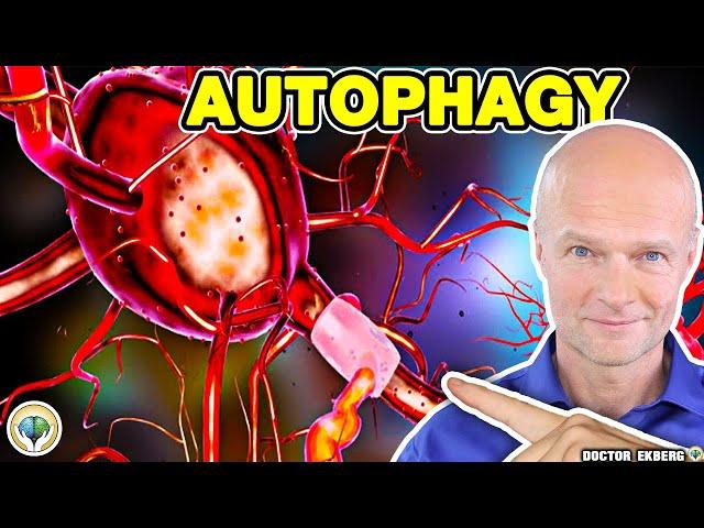 What Is Autophagy? 8 Amazing Benefits Of Fasting That Will Save Your Life