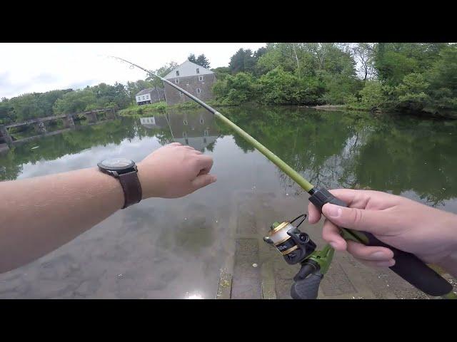 Catching a Fish in All 50 States Part 1: Pennsylvania: Fishing the Tulpehocken Creek!