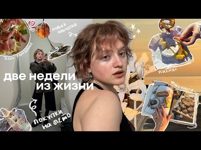 обычная жизнь | день рождения, мем-вечеринка, покупки и пикник