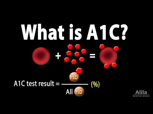 A1C Test for Diabetes, Animation