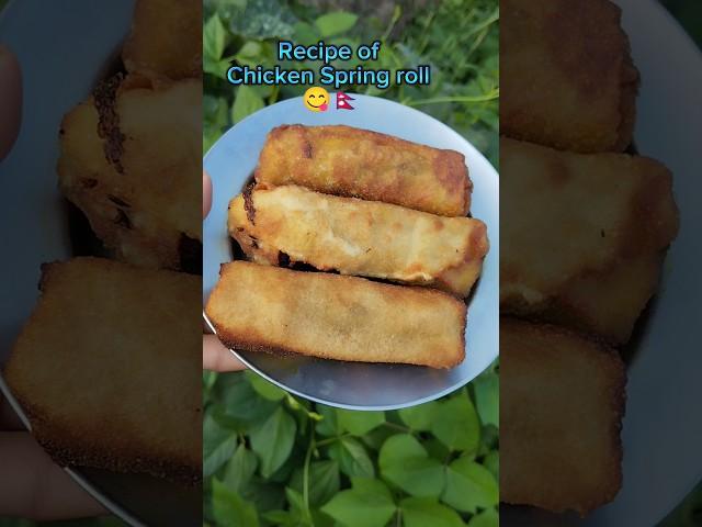 Recipe of Chicken Spring roll#shorts#delicious#recipe @ChannelMunu532