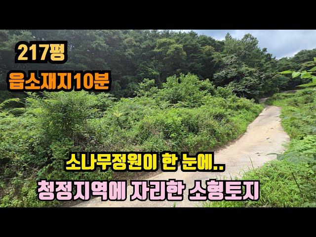 [No.800]청정지역에 귀한 소형토지, 소나무정원조망을 소유하는 토지