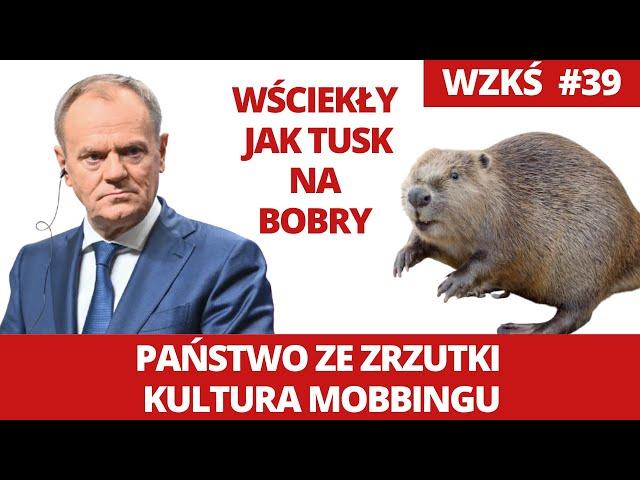 Państwo ze zrzutki, Tusk wściekły na bobry, kultura mobbingu.