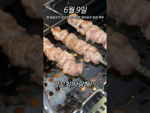 자취생 6월 식비 기록 9일차 : 양꼬치에 칭따오