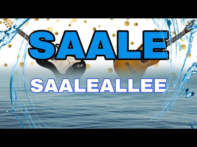 Saale Saaleallee SONG  (Offizielles Saalelied)