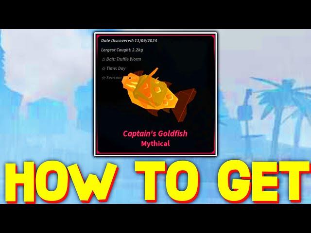 How To GET CAPTAINS GOLDFISH in FISCH! ROBLOX