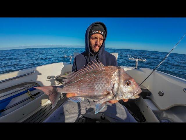 How to catch pink snapper.