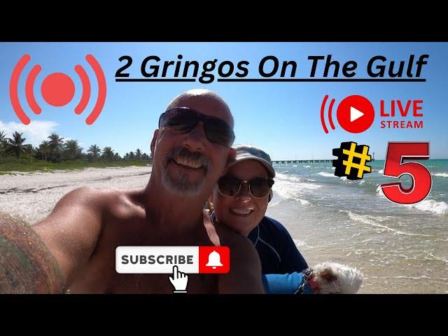 2 Gringos On The Gulf  Jennifer & Darryle is going live!