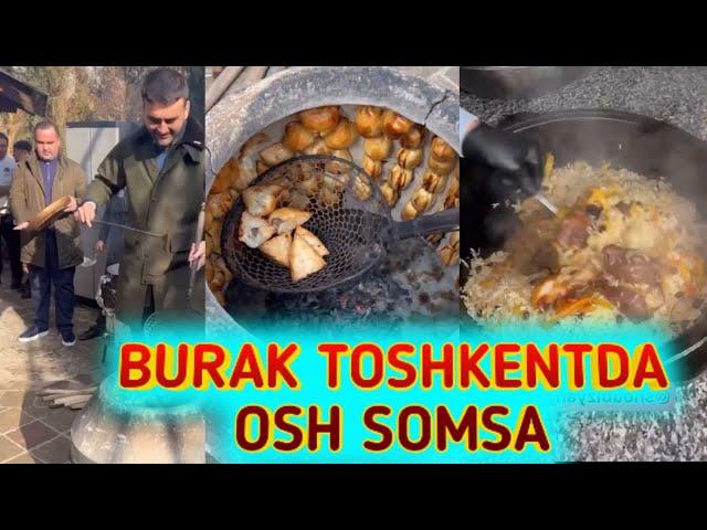 BURAK TOSHKENTDA OSH SOMSA PISHIRDI // shoubiznes yangiliklari