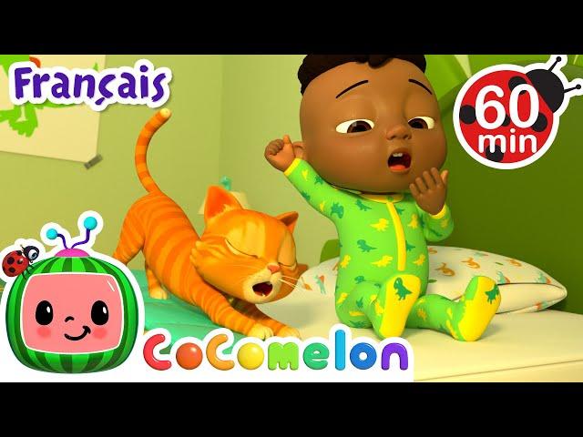 Voici comment 🪥| CoComelon - L'Heure de Cody | Chansons pour bébés