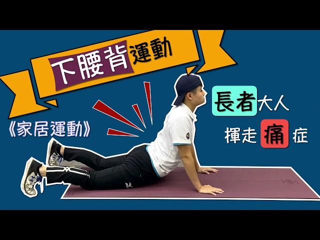 【居家運動】下腰背運動 Low Back Exercises