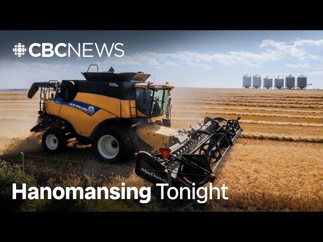 'No farm is prepared' for tariffs, says Canadian farmer | Hanomansing Tonight