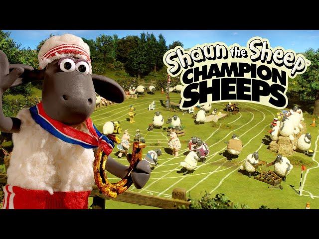 Full Episodes Compilation  Championsheeps  Shaun the Sheep #sport #ShaunTheSheep