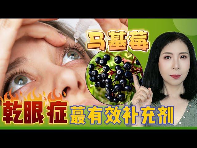 马基莓Maqui Berry：来自南美的护眼秘方！干眼症福音，天然成分，快速缓解眼睛干涩！