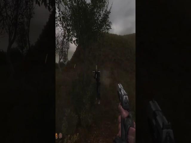 NICE AIM BRO  #gamingvideos #games #games #aimbot #stalker_shadow_of_chernobyl #stalker2 #csgo2