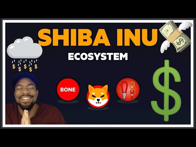 SHIBASWAP BREAKDOWN VIDEO #shiba #shib #crypto