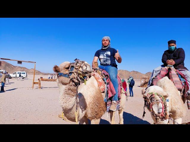 Desert Safari । Hurghada । Egypt । ARAB SAFAR