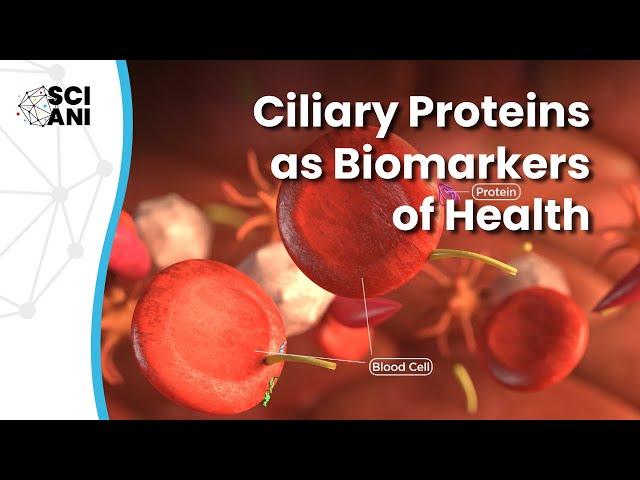 Can cilia proteins in body fluids inform us about our health?