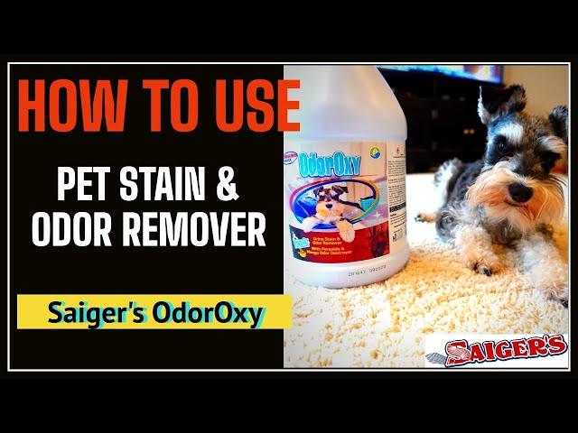 Saiger's OdorOxy | How to Use Pet Stain and Odor Remover