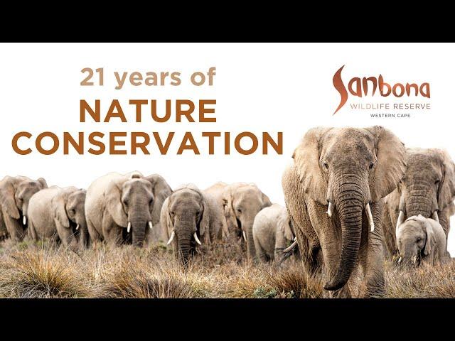 21 years of conservation at Sanbona Wildlife Reserve