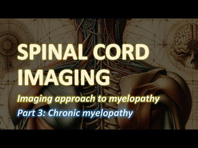 Imaging of the Spinal Cord (3): Chronic myelopathy