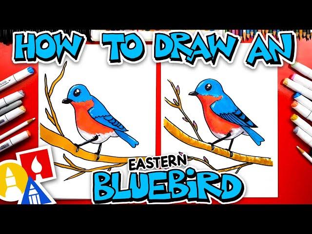 How To Draw An Eastern Bluebird