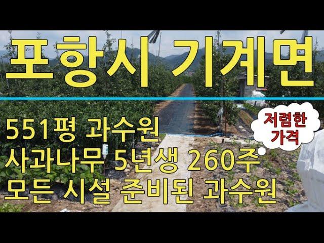 포항시 기계면 인비리 준비된 소형 과수원 매매