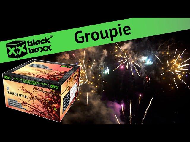 Blackboxx - Groupie