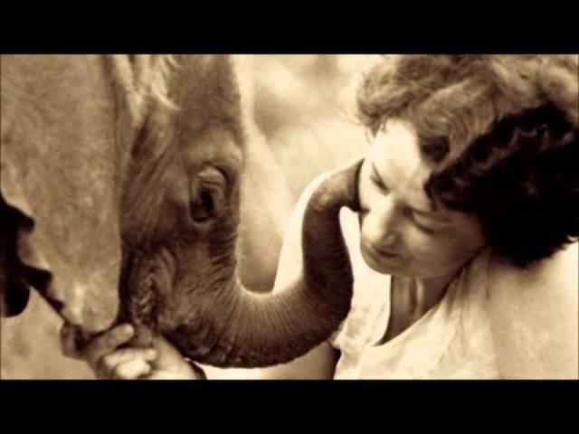 Dame Daphne Sheldrick talks about her autobiography (2012) | Sheldrick Trust