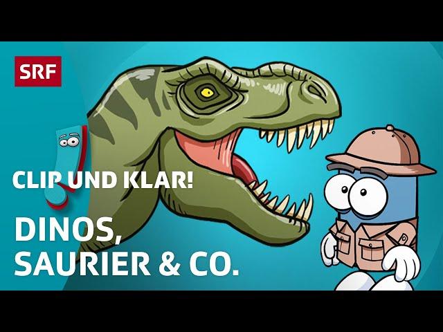 Was du über Dinosaurier wissen musst  | SRF Kids – Clip und klar! | Für Kinder erklärt