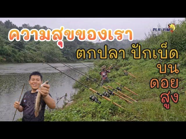 ความสุขของเรา ตกปลา ปักเบ็ด บนดอยสูง (คลิปที่ 385)