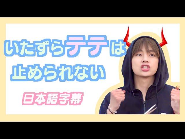 【BTS日本語字幕】いたずらテテは止められない。