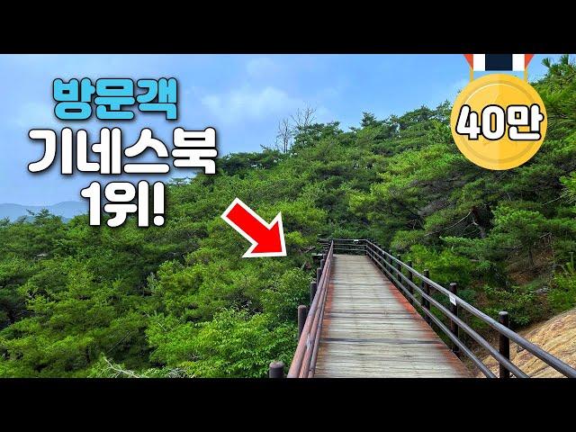 10-min subway to Korea's record-breaking 5.2km hike | Public transit day trip