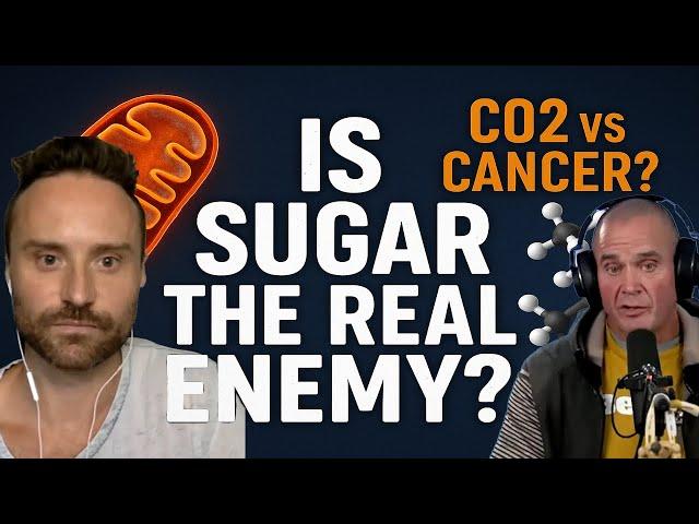 The Truth About Sugar, Cancer & Digestion | Mark Bell x Amplified Vitality