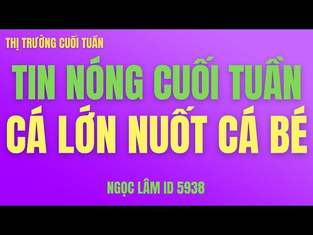 Tin nóng cuối tuần, chứng khoán hôm nay, cơ hội đầu tư cổ phiếu, top danh mục mạnh nhất - Ngọc lâm