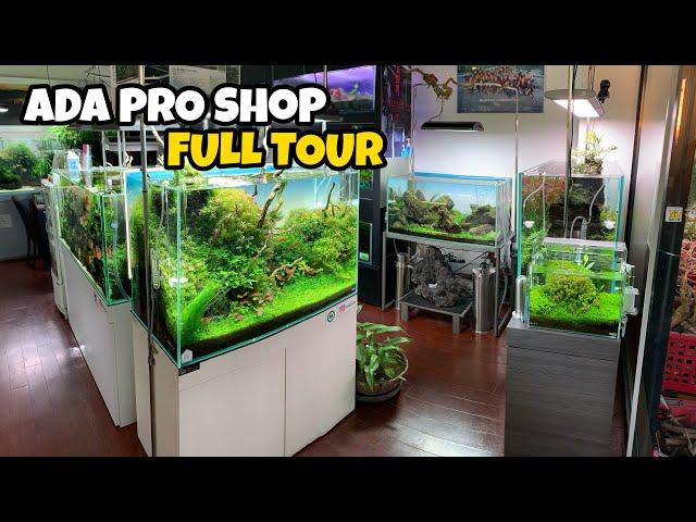 MOST BEAUTIFUL AQUASCAPING STORE in JAPAN!! Full Fish Store Tour of Aqua Revue