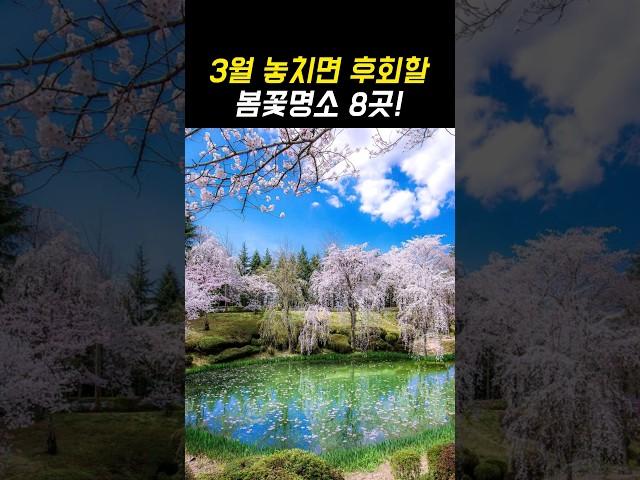 올 봄 놓치면 후회할 3월 여행지 추천 봄꽃명소 TOP8