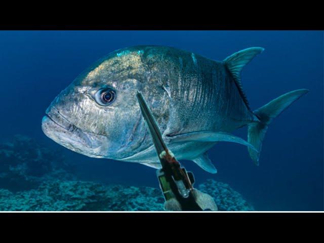 MONSTER GIANT TREVALLY  || SPEARFISHING PHILIPPINES || CATCH SELL N' COOK! BANTON ROMBLON