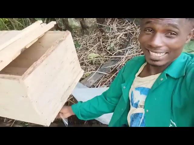 Si L'APICULTURE t'intéresse   alors voici quelques conseils sur l'installation d'une ruche