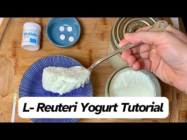 L  Reuteri Yogurt Tutorial