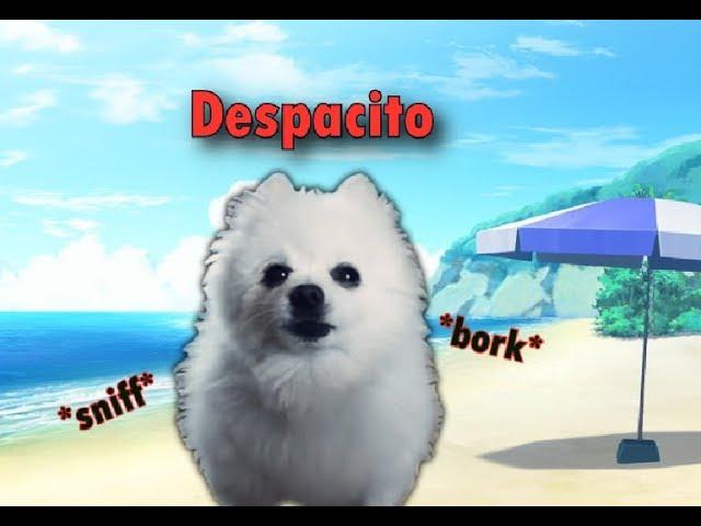 Despacito - gabe cover