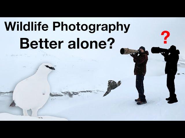 Wildlife Photography - Better alone or in a group?