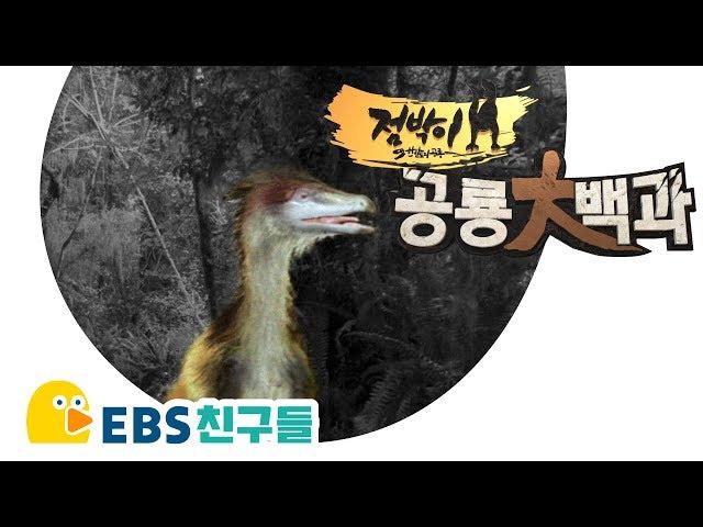 [EBS친구들][점박이 공룡대백과]공룡의 깃털[중화용조/에뮤/시조새/듕가]