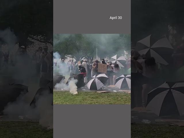 Police use tear gas on pro-Palestinian protesters at USF in Tampa