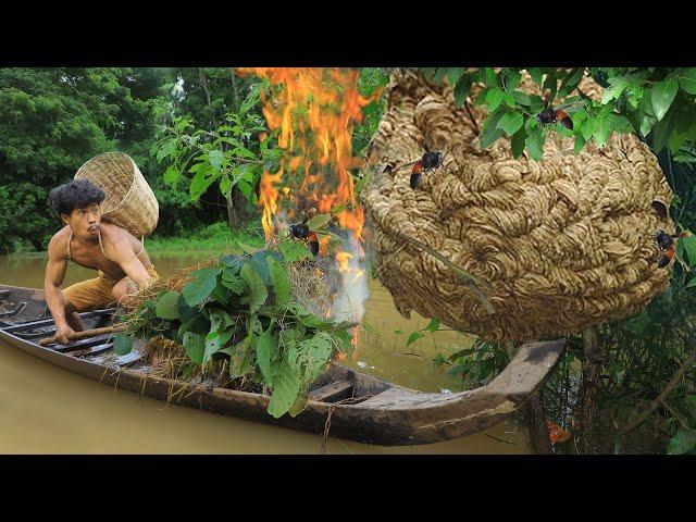 life in jungle - Eating cucumber meet wasp nest