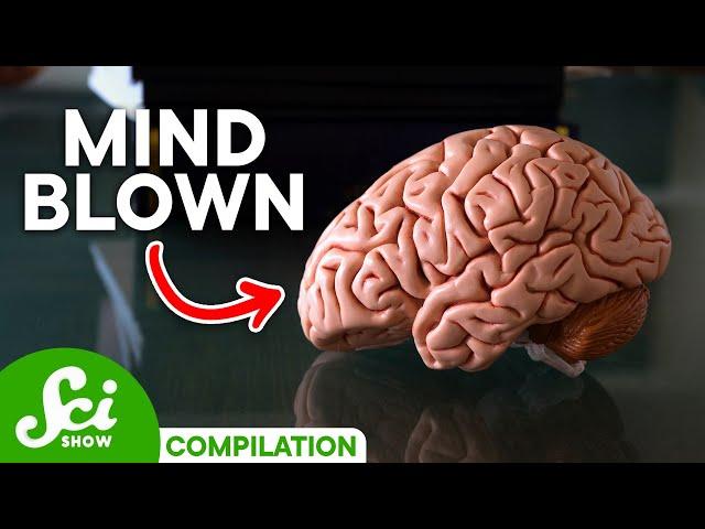 5 Brain Facts That Will Blow Your Mind